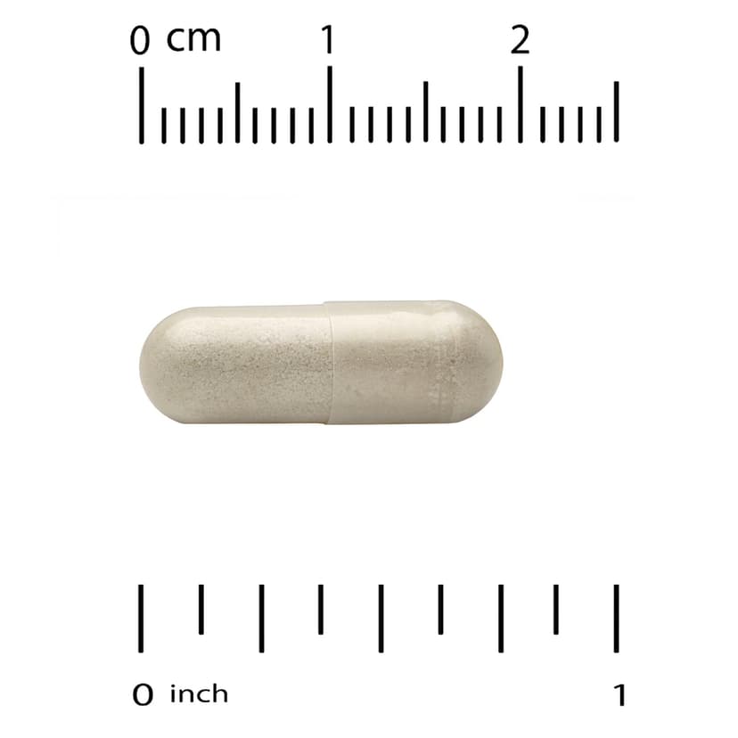 NOW Foods, Probiotic-10™，100 粒素食膠囊