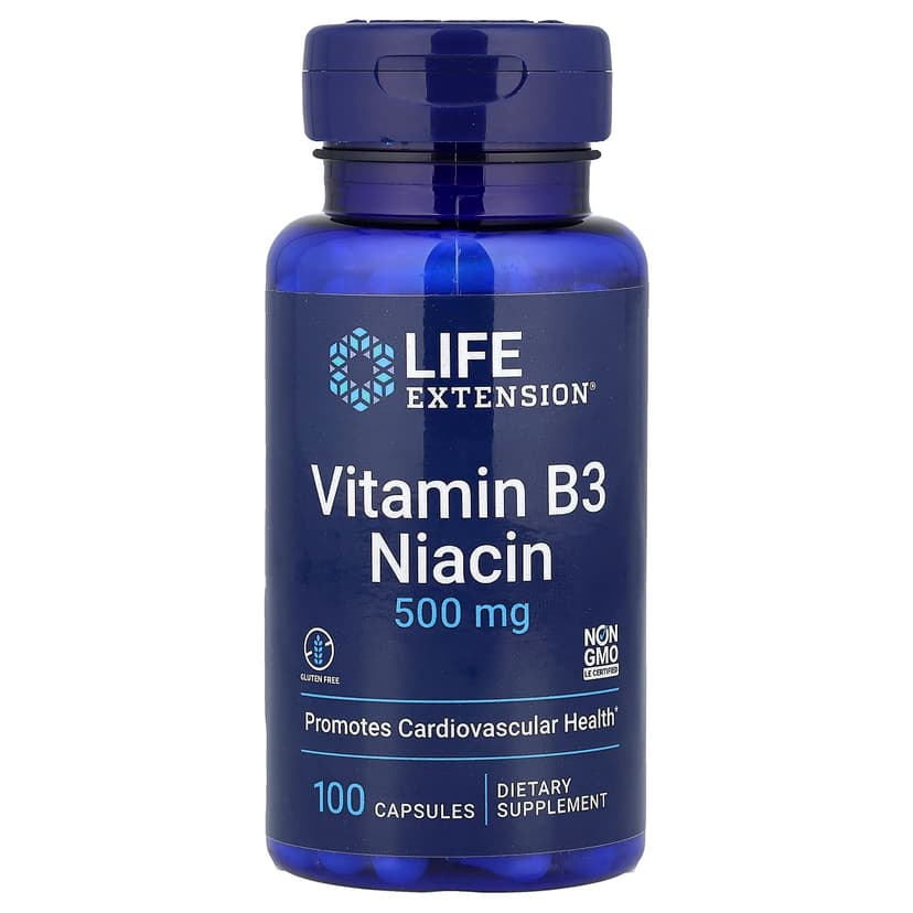 Life Extension, 維他命 B3 煙酸，500 毫克，100 粒素食膠囊