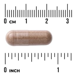 Swanson Vitamins, 多面鋸棕櫚，前列攝護腺，540 毫克，250 粒膠囊