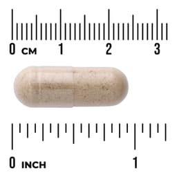 Swanson Vitamins, Full Spectrum® 多面水飛薊全素膠囊，500 毫克，100 粒