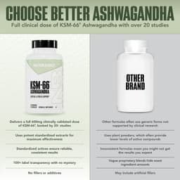 NutraBio, 南非醉茄 KSM-66，600 毫克，90 粒素食膠囊