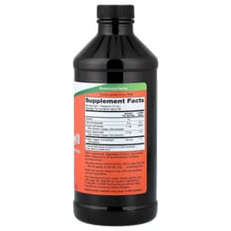 NOW Foods, 液體葉綠素，薄荷味，16 液量盎司（473 毫升）