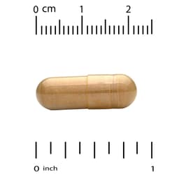 California Gold Nutrition, 水飛薊素複合物素食膠囊，含水飛薊提取物，加蒲公英、洋薊、生姜和 BioPerine 成分，360 粒