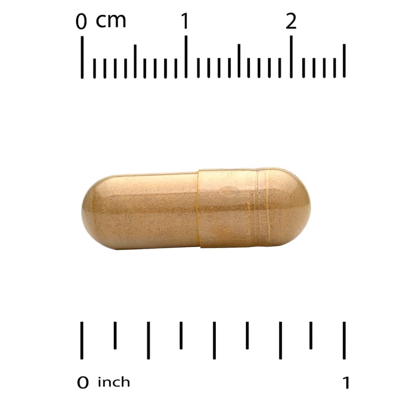California Gold Nutrition, 水飛薊素複合物素食膠囊，含水飛薊提取物，加蒲公英、洋薊、生姜和 BioPerine 成分，360 粒