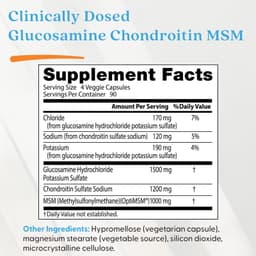 Doctor's Best, 葡萄糖胺軟骨素 MSM，360 粒素食膠囊