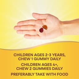 Nature's Way, Alive! 兒童，多維他命膠囊，櫻桃、橙子和葡萄味，60 粒軟糖