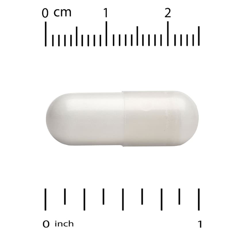 Life Extension, Neuro-Mag®，L-蘇糖酸鎂，90 粒素食膠囊（每粒膠囊 48 毫克）