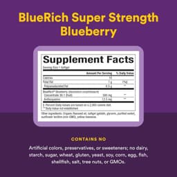 Natural Factors, BlueRich，優效，濃縮藍莓，500 毫克，90 粒軟凝膠