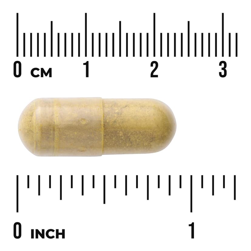 Swanson Vitamins, 優效吸收小檗鹼，30 粒全素膠囊（每粒膠囊 550 毫克）
