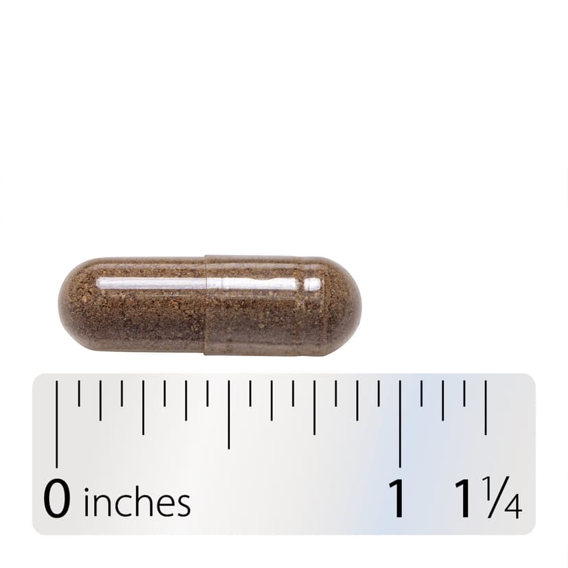 Nature's Way, 聖潔莓純素食膠囊，400 毫克，100 粒