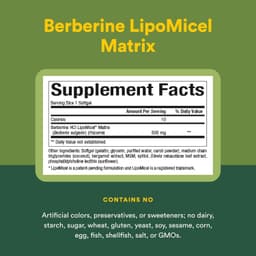 Natural Factors, Berberine LipoMicel Matrix，90 粒液體軟膠囊