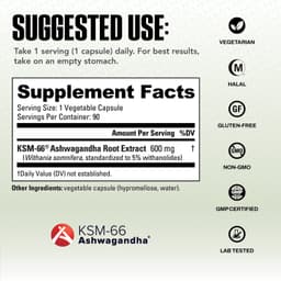 NutraBio, 南非醉茄 KSM-66，600 毫克，90 粒素食膠囊