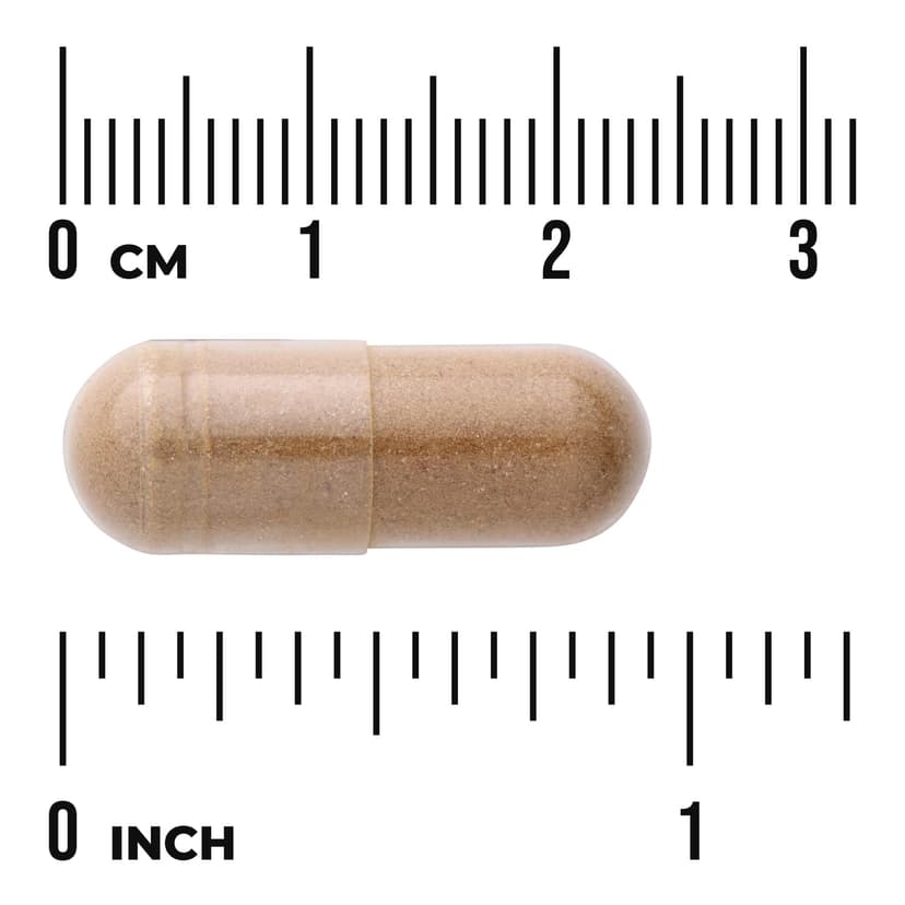 Swanson Vitamins, 多面®苦瓜，500 毫克，60 粒全素膠囊