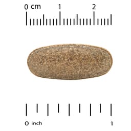 California Gold Nutrition, 運動系列，蒺藜，1,000 毫克，60 片