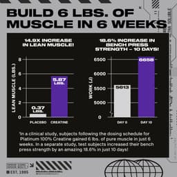 MuscleTech, 白金全一水肌酸，原味，14.11 盎司（400 克）
