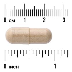 Swanson Vitamins, Full Spectrum® 南非醉茄，100 粒全素膠囊（每粒 450 毫克）