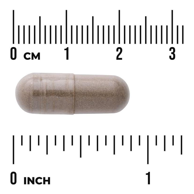 Swanson Vitamins, Full Spectrum® 聖潔莓，400 毫克，120 粒全素膠囊