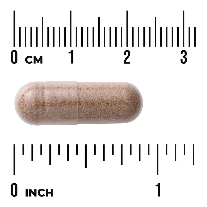 Swanson Vitamins, 多面鋸棕櫚,前列攝護腺,540 毫克,250 粒膠囊