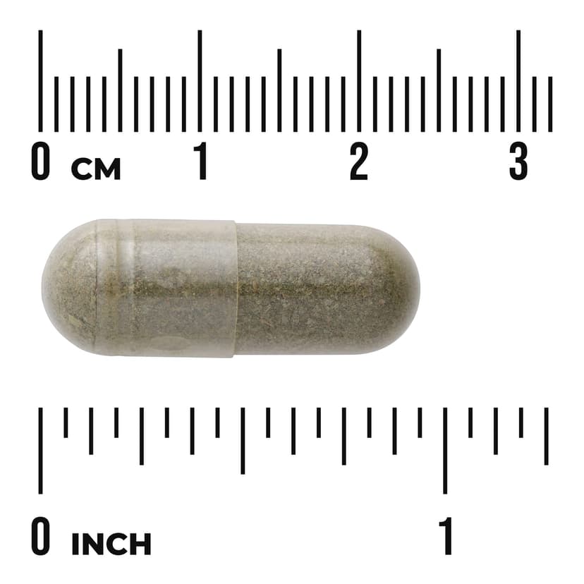 Swanson Vitamins, 多面® 薄荷葉,400 毫克,60 粒膠囊