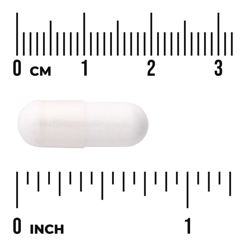 Swanson Vitamins, 吡啶甲酸鋅,機體抵抗健康,22 毫克,60 粒膠囊