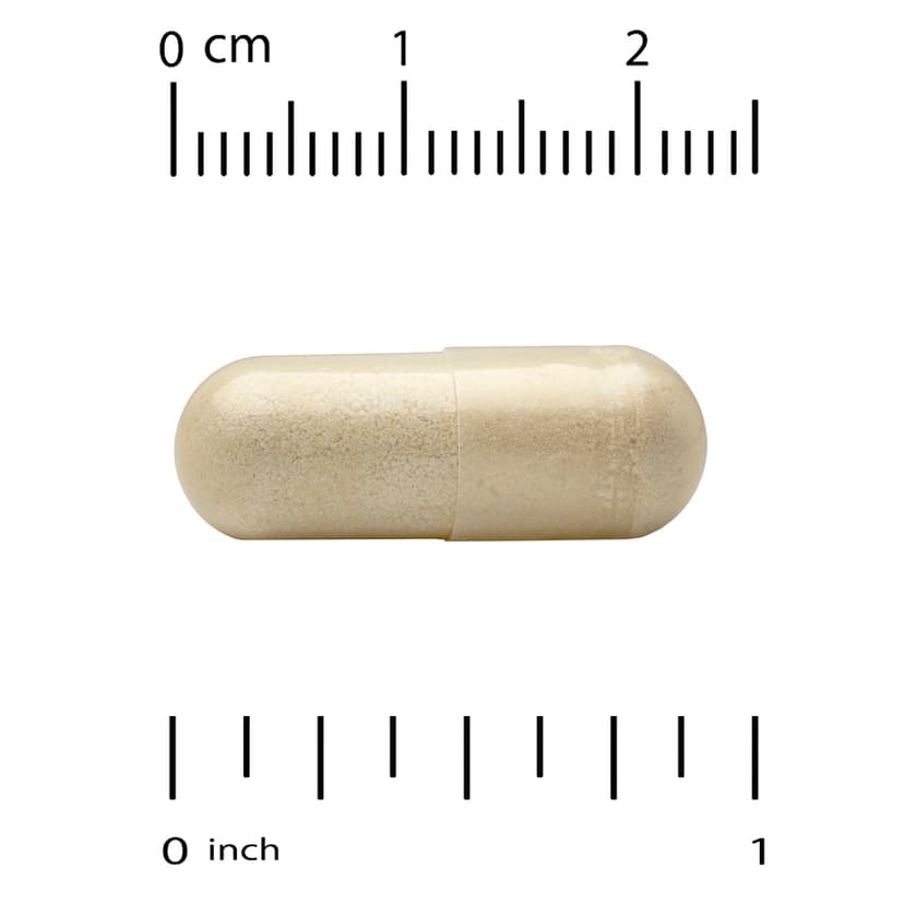 Thorne, 基本營養素每天 2 粒,60 粒膠囊