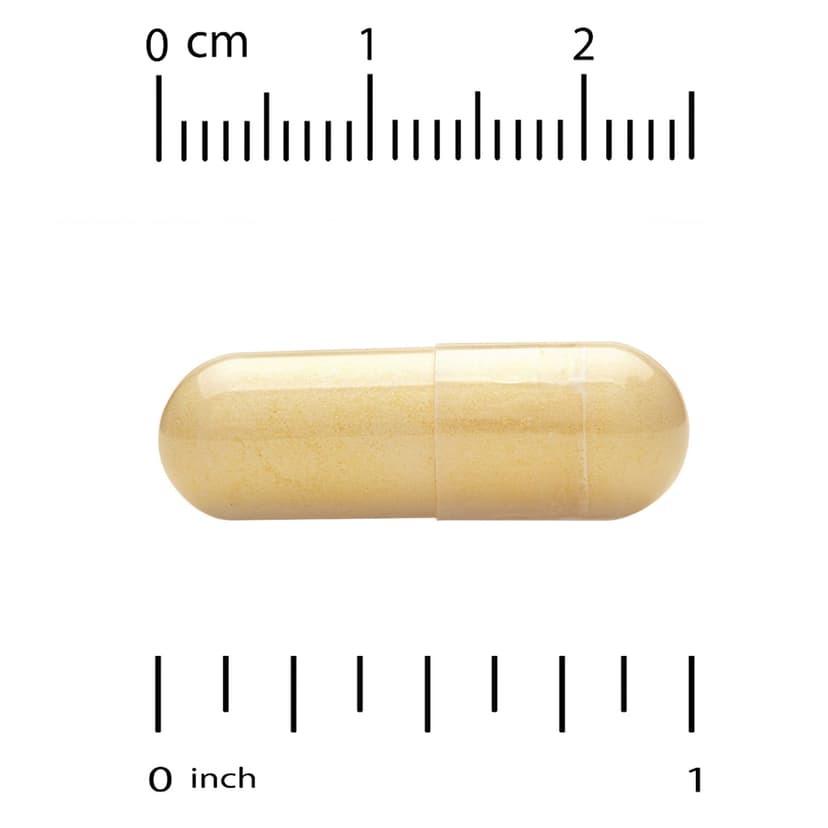 Life Extension, 每日兩粒複合維他命,120 粒膠囊