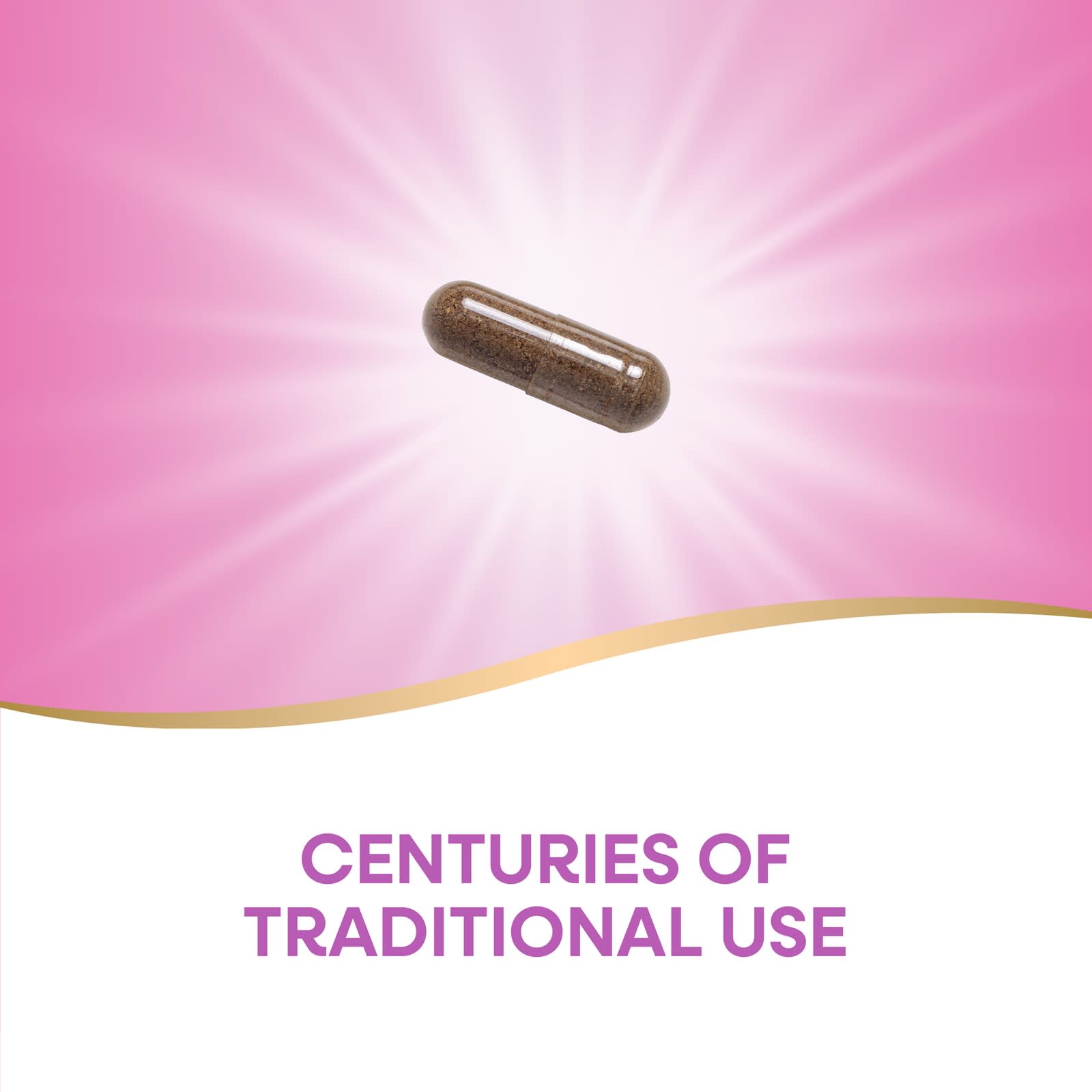 Nature's Way, 聖潔莓純素食膠囊,400 毫克,100 粒