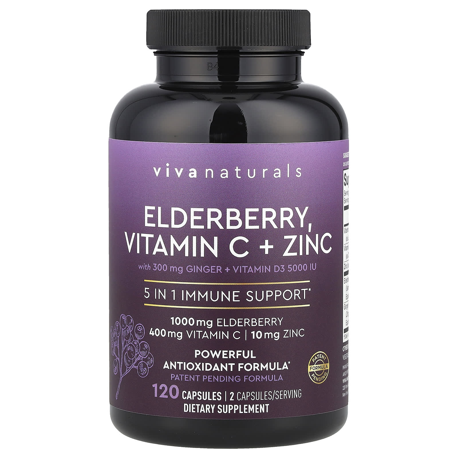 Viva Naturals, 接骨木果,維他命 C + 鋅,120 粒膠囊