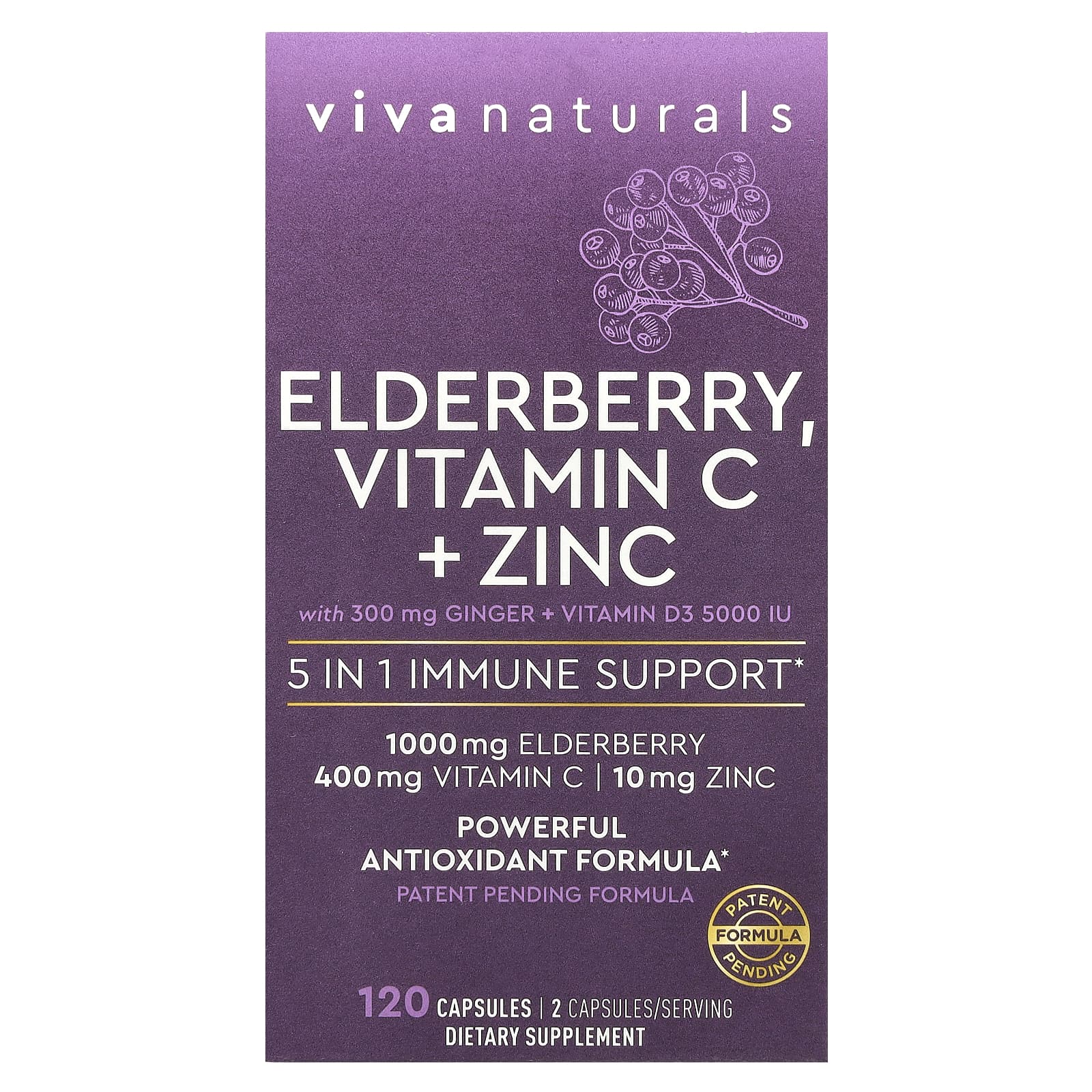 Viva Naturals, 接骨木果,維他命 C + 鋅,120 粒膠囊