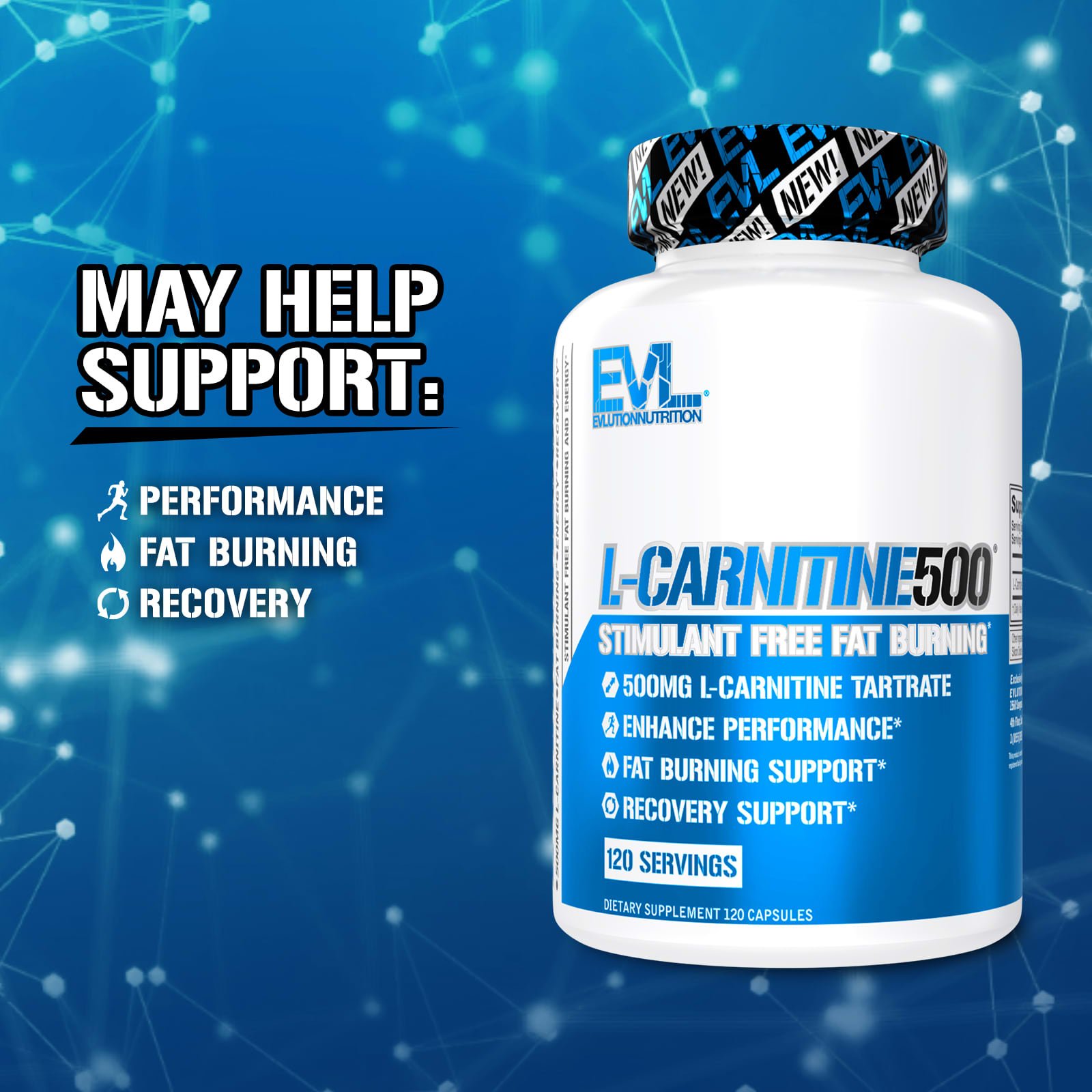 EVLution Nutrition, L-Carnitine500®,500 毫克,120 粒膠囊